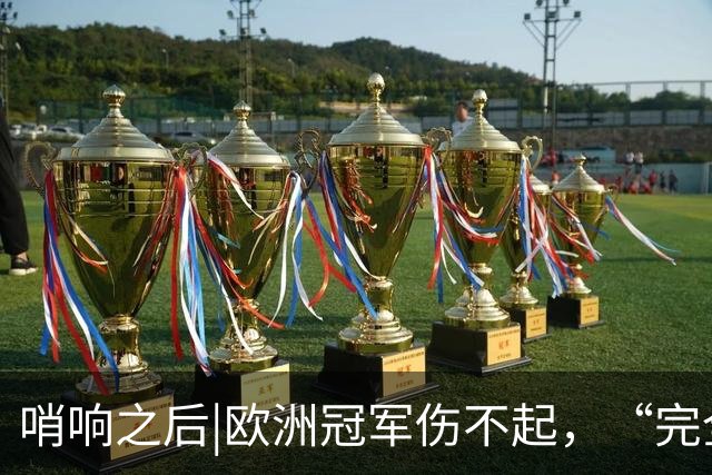 哨响之后|欧洲冠军伤不起，“完全体”斗牛士啥时亮相？